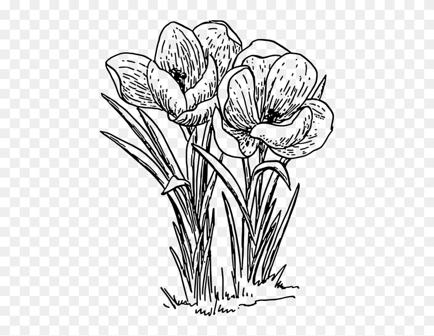 Flower With Stem Clip Art Black And White - Png Download