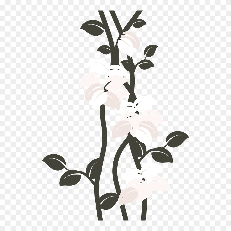 Flowers Clipart - Illustration - Png Download