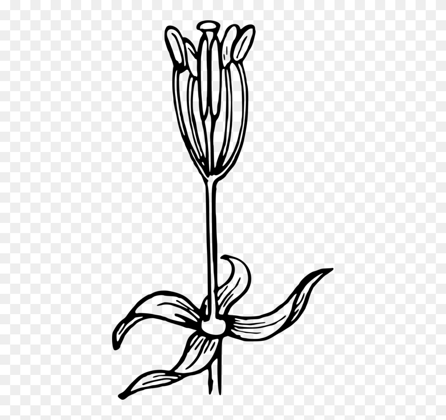 Line Art,plant,flora Clipart