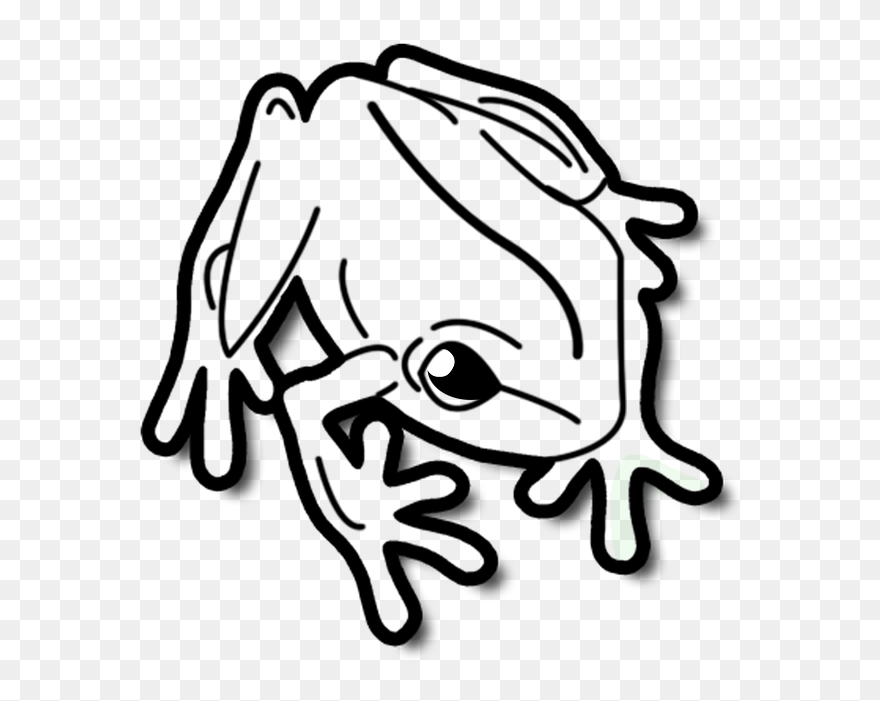 Frog Tropical Small Nature Ju - Clipart Black And White Picture Of Animals - Png Download