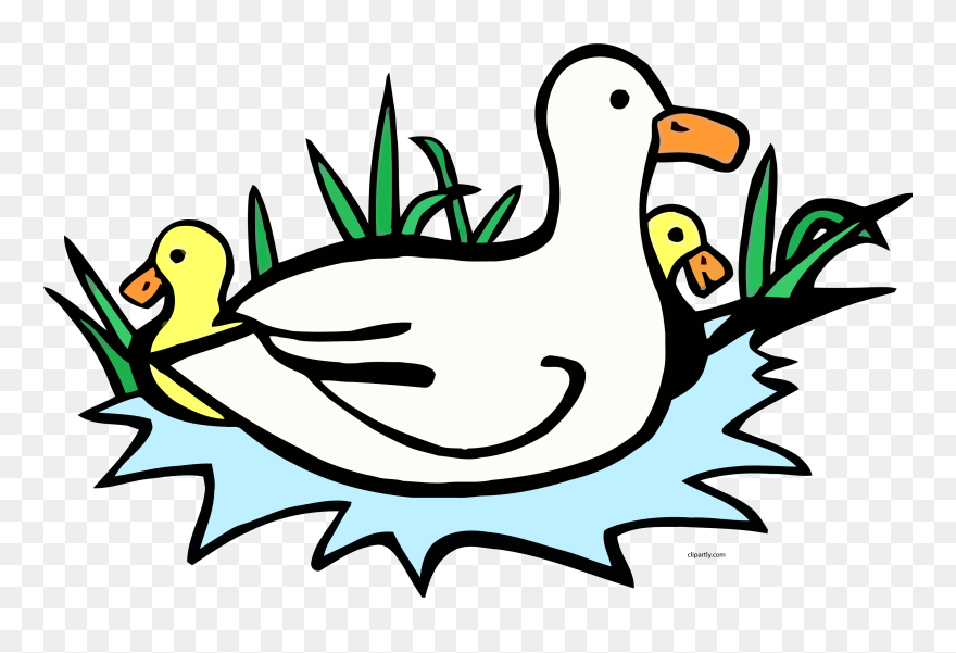 Transparent Ducks Clipart Images - Clipart For Duck - Png Download