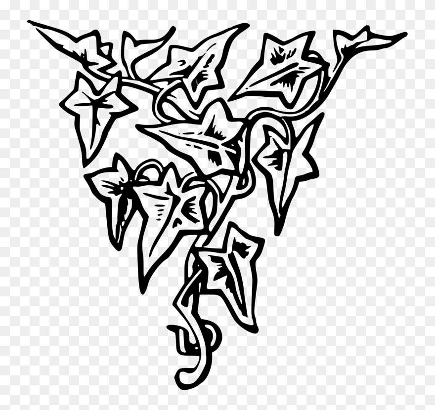 Art,symmetry,monochrome Photography - Gambar Dekoratif Daun Clipart