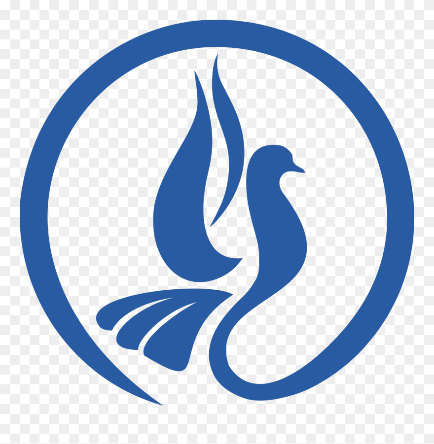 Transparent 4th Of July Fireworks Clipart - Point Reyes National Seashore - Png Download