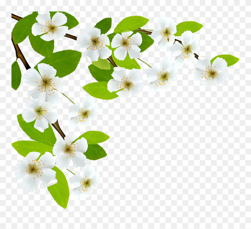 Blossoming Of The Cross Clipart Vector Transparent - Psalm 34 V 8 Kjv - Png Download