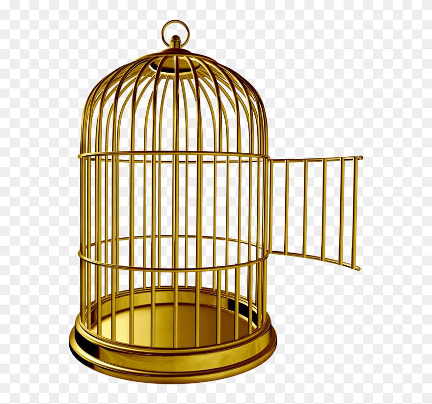 Transparent Bird Cage Furniture Material Clipart For - Bank Of Canada Museum - Png Download