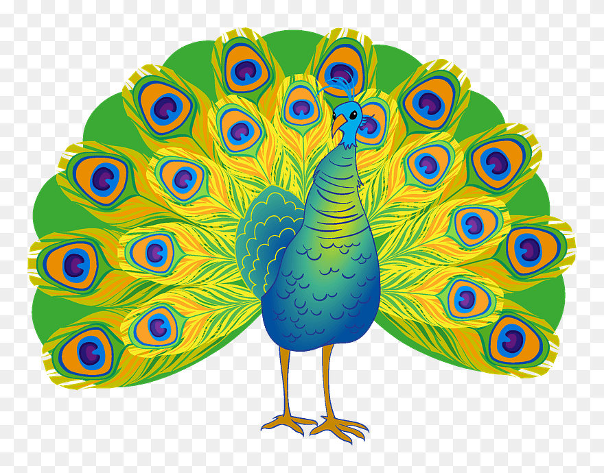 Peacock Clipart - Turkey - Png Download