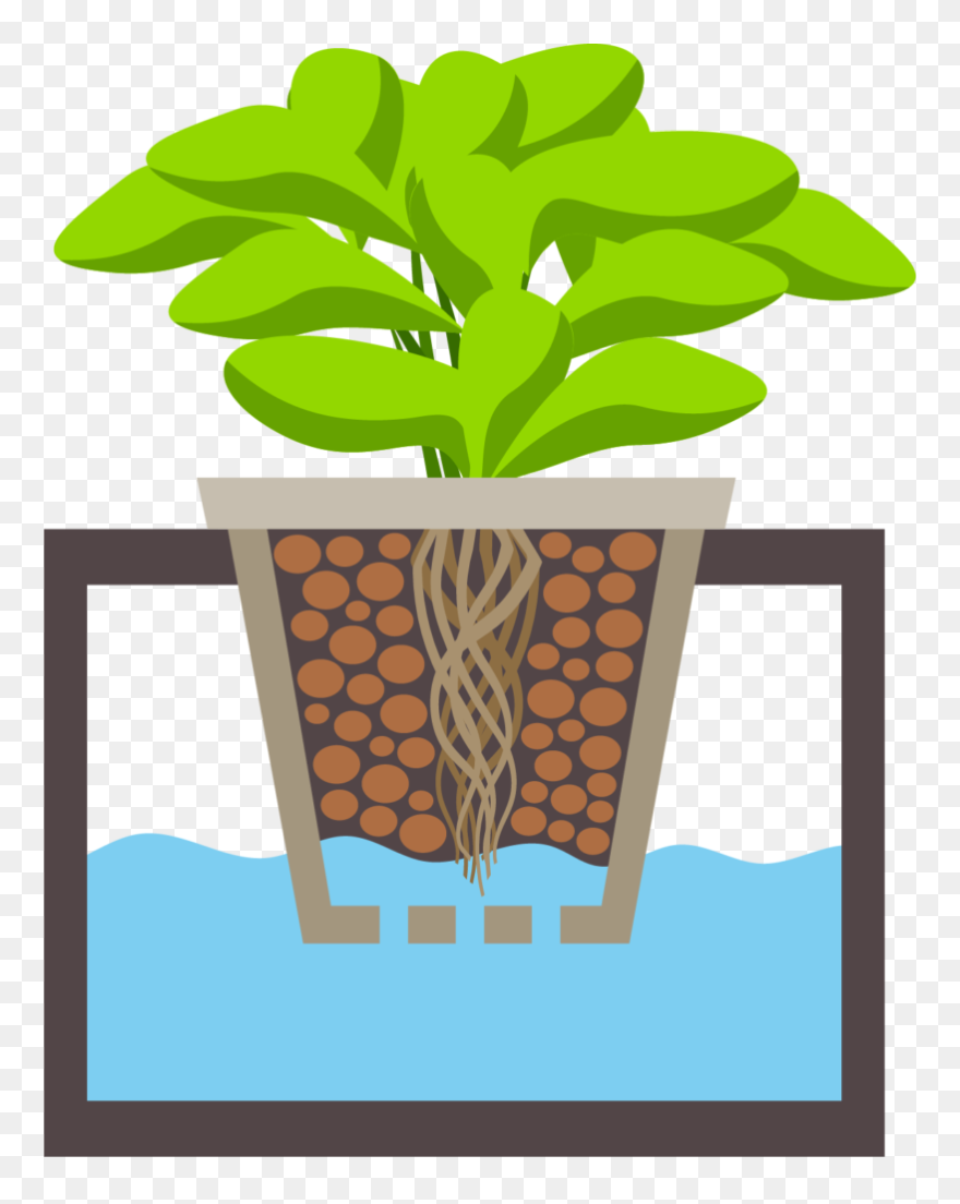 Garden Clipart Herb Garden - Hydroponics Clipart - Png Download