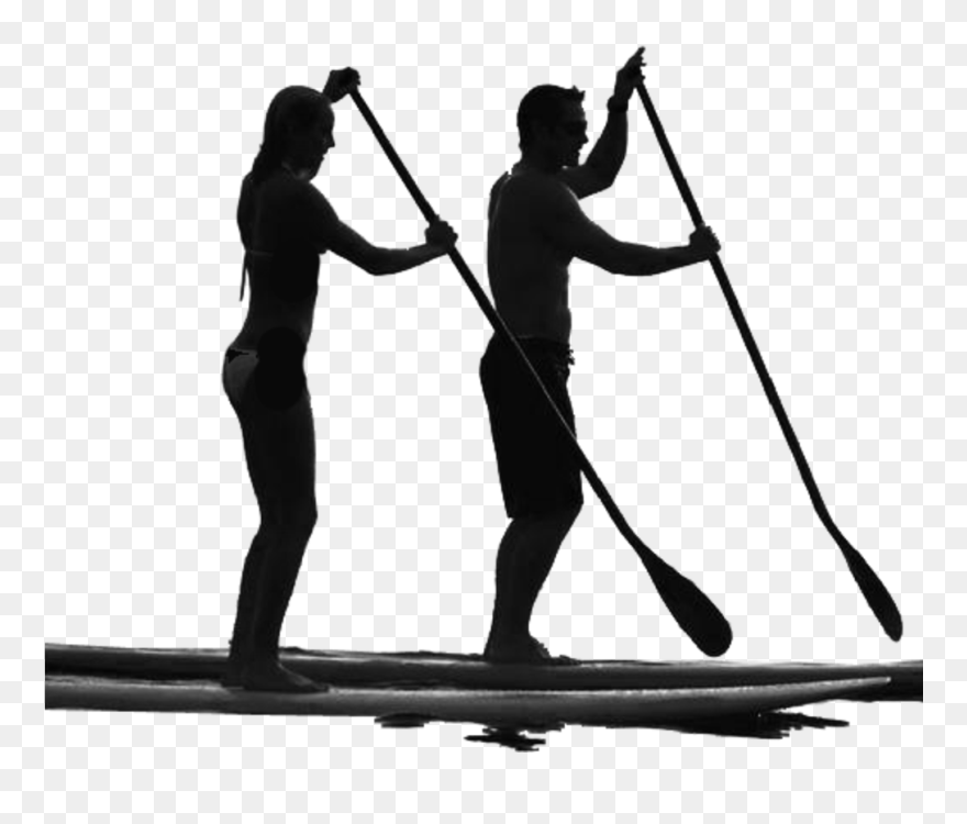 Standup Paddleboarding Surfing Manatee Paddle Sales - Stand Up Paddle Png Clipart