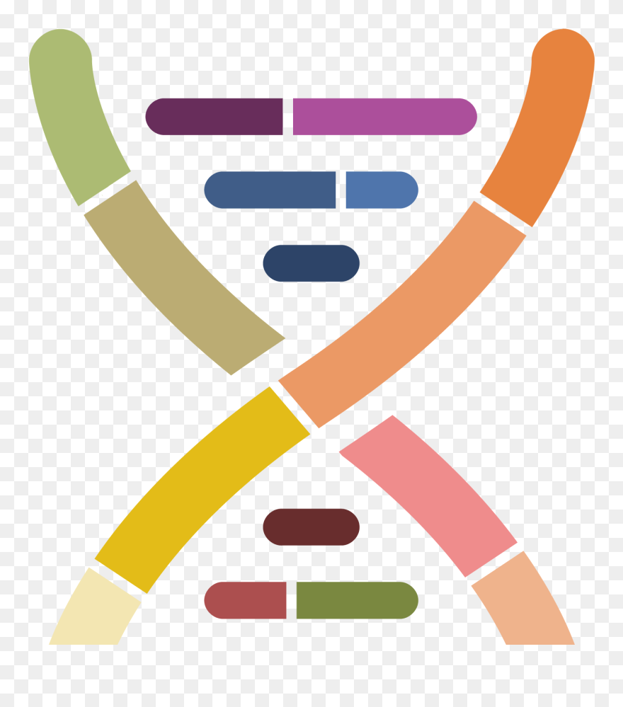 Mesenchymal Stem Cells And Hearing Loss Clipart