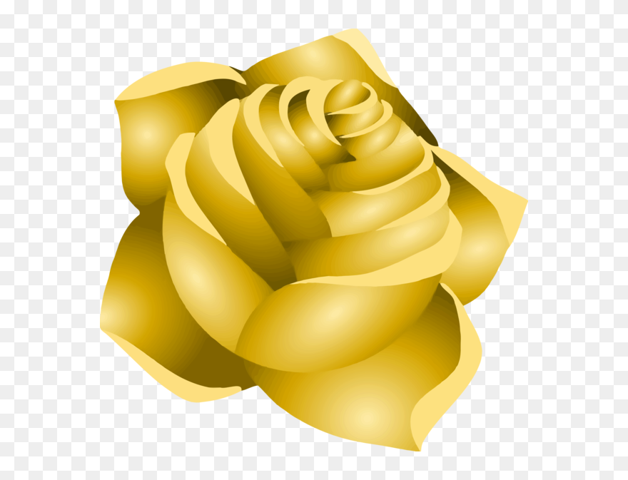 Transparent Rose Flower Petal Rose Family Clipart For - Clip Art - Png Download