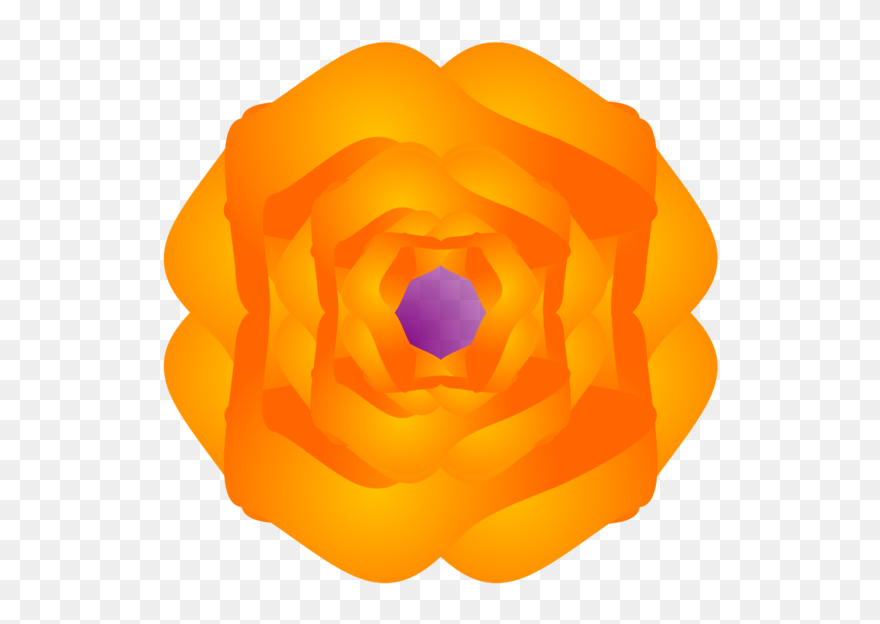 Transparent Rose Flower Petal Rose Family Clipart For - Illustration - Png Download