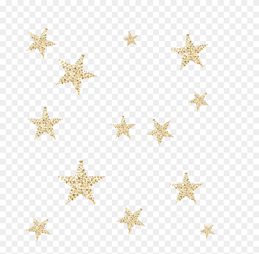 Transparent Golden Stars Png - Marine Invertebrates Clipart