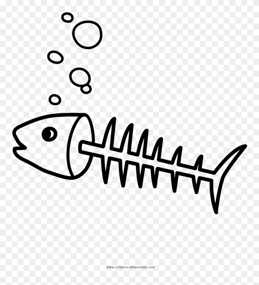 Fish Bone Drawing Coloring Book Thorns, Spines, And - Espina De Pescado Para Colorear Clipart