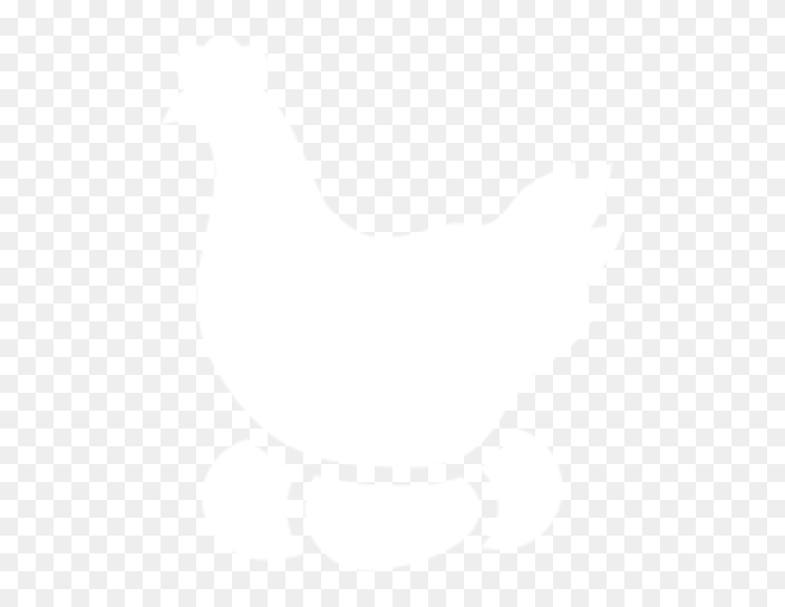 Rooster Clipart