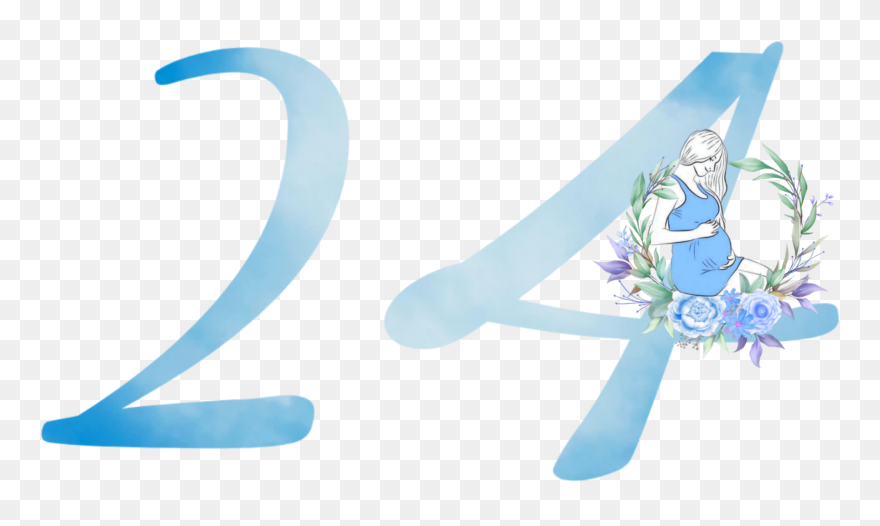 #24 #24weeks #24weekspregnant #freetoedit #remixed - Illustration Clipart