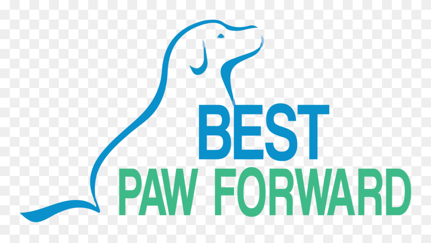 Clipart Dog Training Banner Freeuse Download Obedience - Png Download