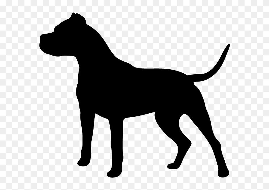 Dogo Argentino South Shore K9 Academy Zazzle Dog Training - Silueta De Un Unicornio Clipart