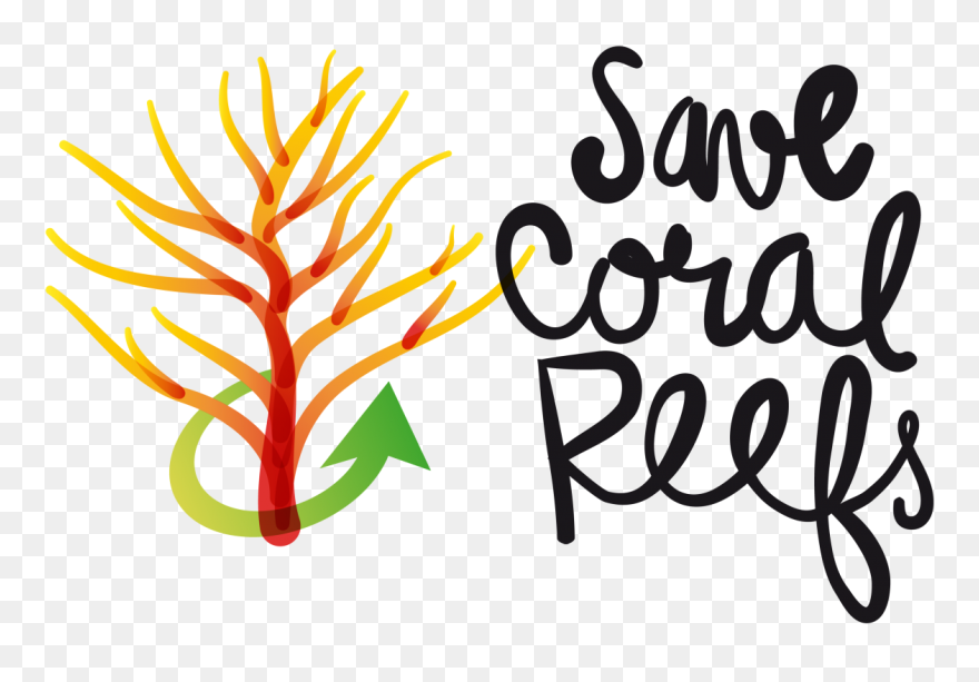 Coral Clip Art - Png Download