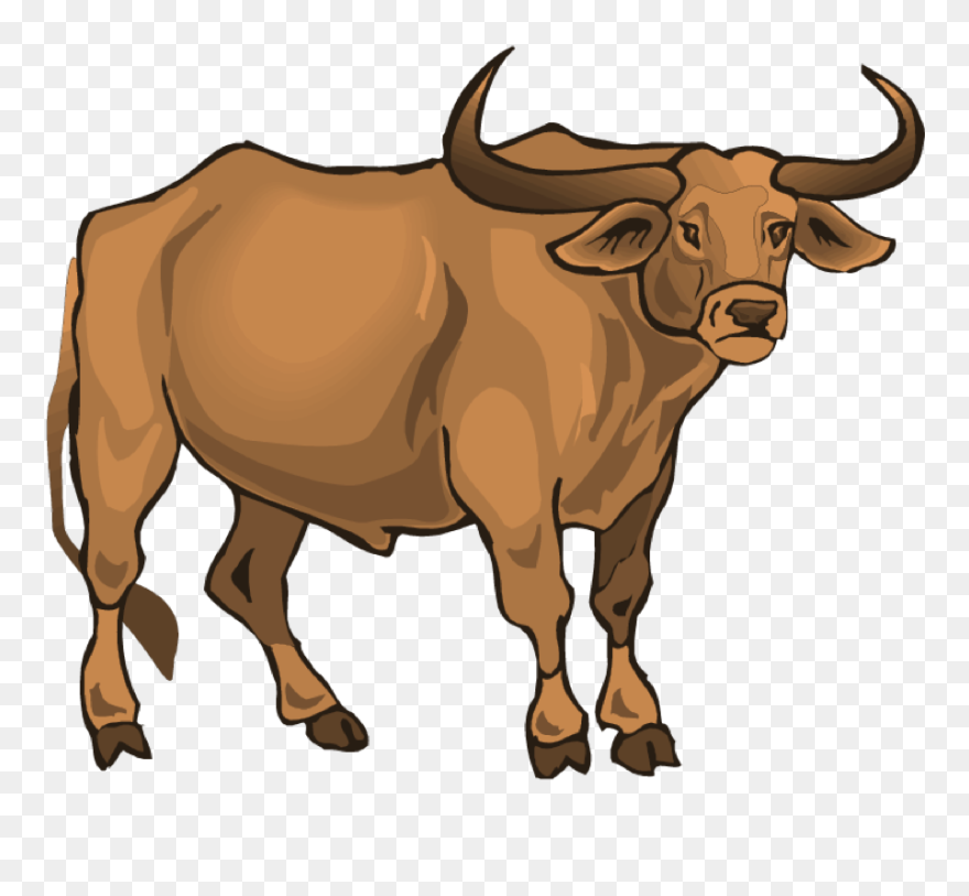 Lost Creek Longhorn - Cebun Animado Png Clipart