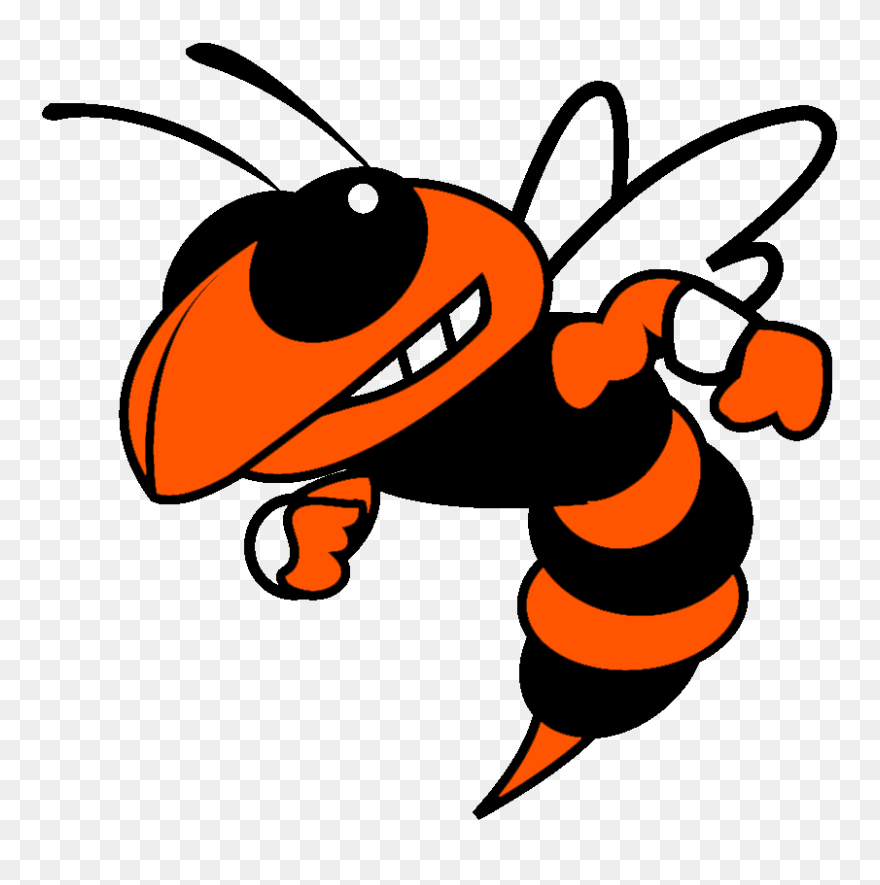 Coalfield Yellow Jackets Clipart