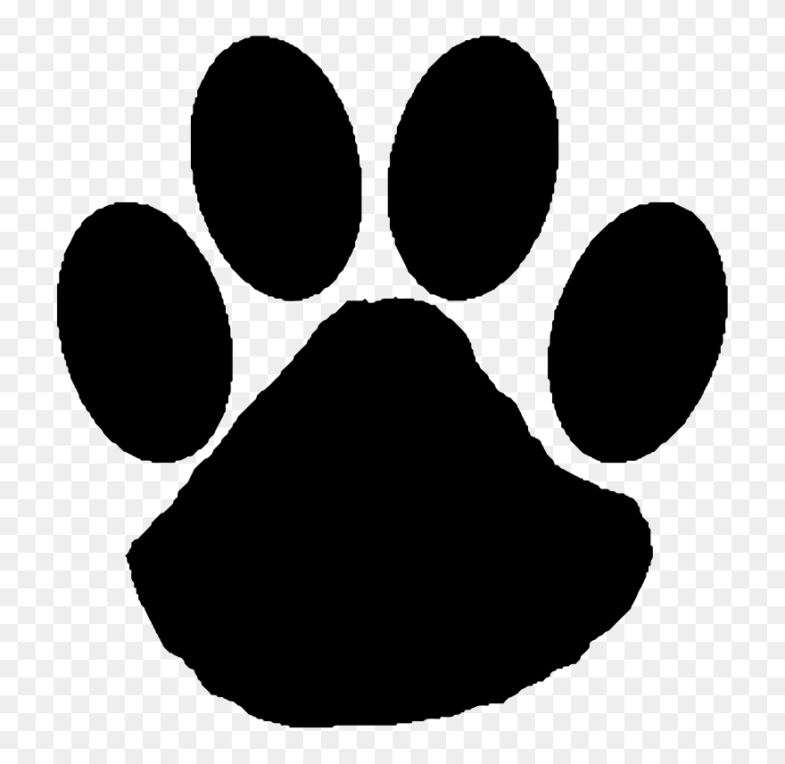 Wildcat Paw Clip Art - Belogradcdik Fortress - Png Download