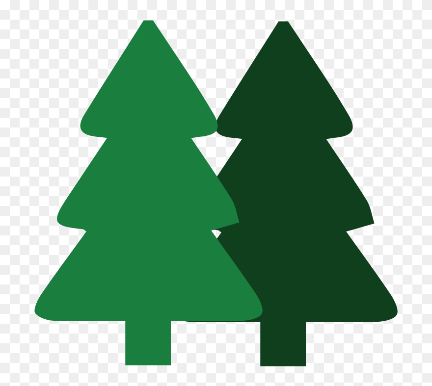 Wildcat Creek Tree Service Will Guid You Through The - Christmas Tree Clipart