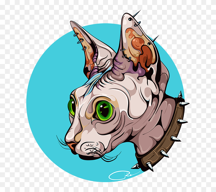 Vector Sphynx Cat Clipart