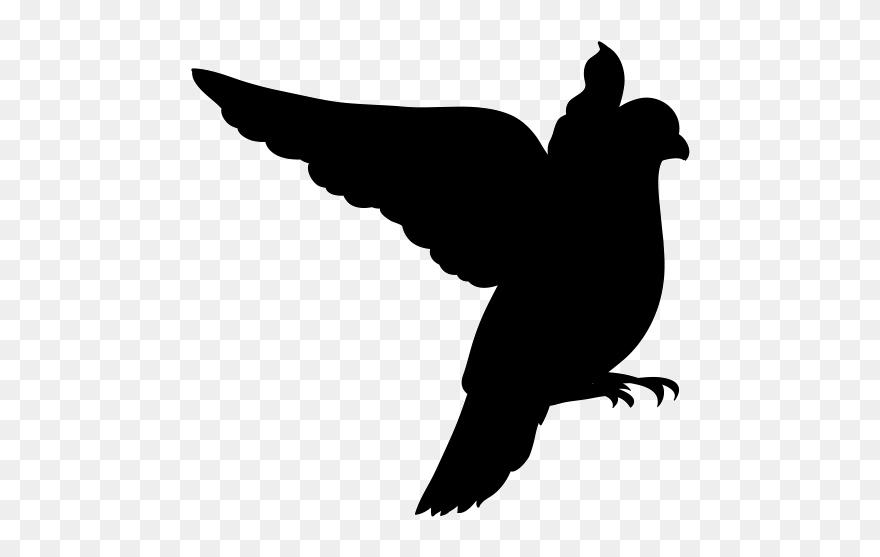 Clip Art Birdwatching Royalty-free Vector Graphics - Vector Bird Png Transparent Png