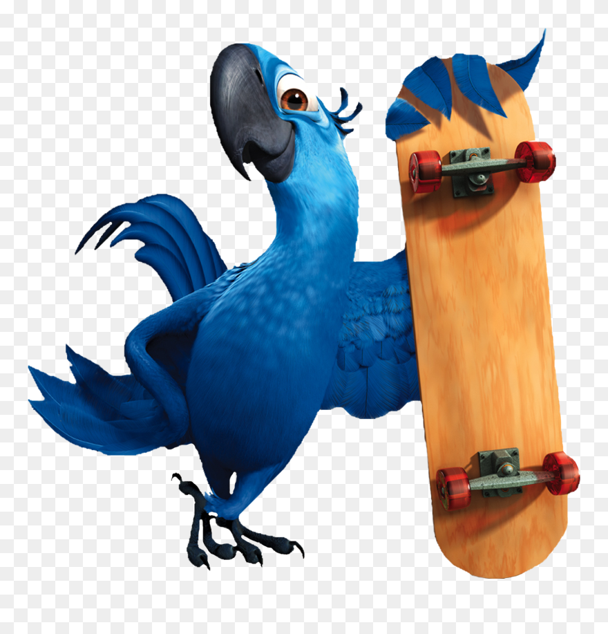 Rio Movie Png Clipart