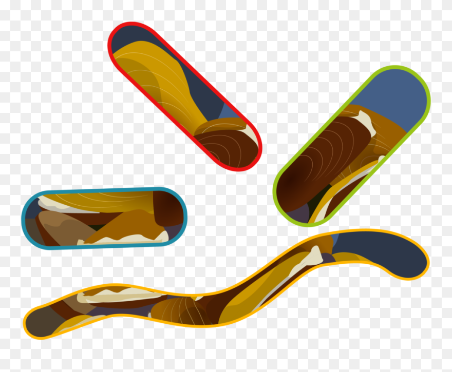 Illustration Clipart