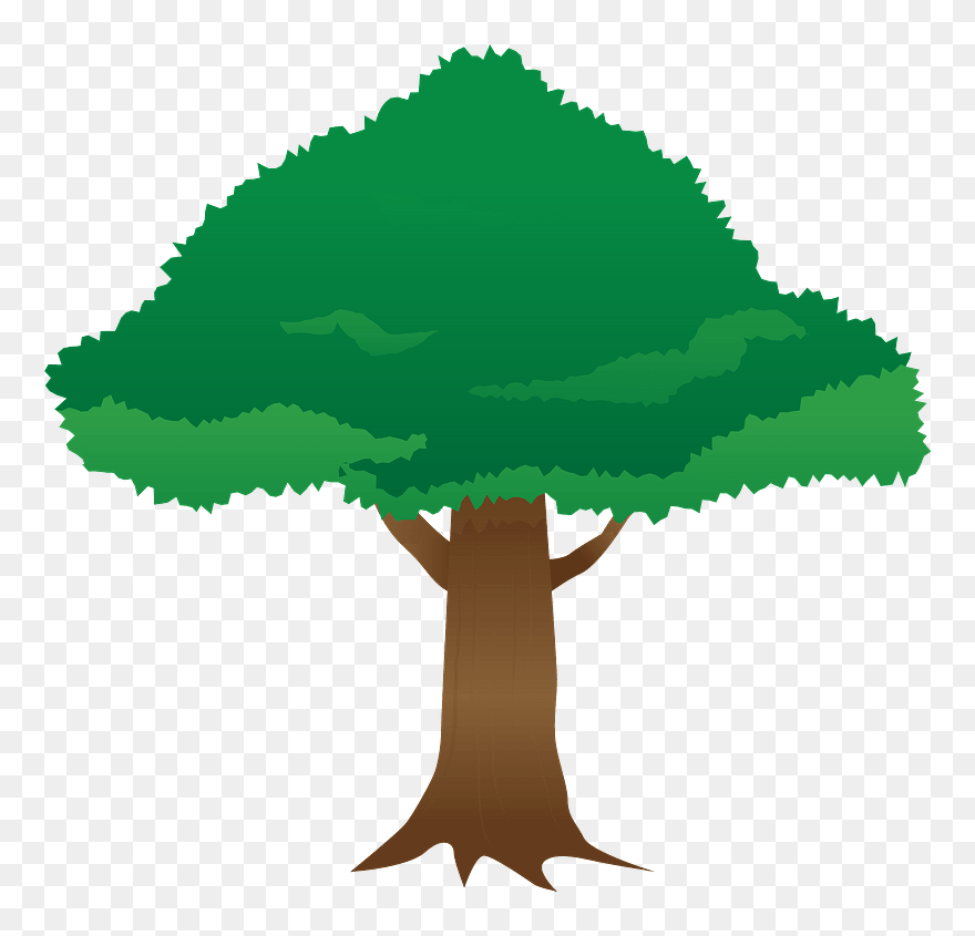 Tree Clipart - イラスト 大木 フリー 素材 - Png Download