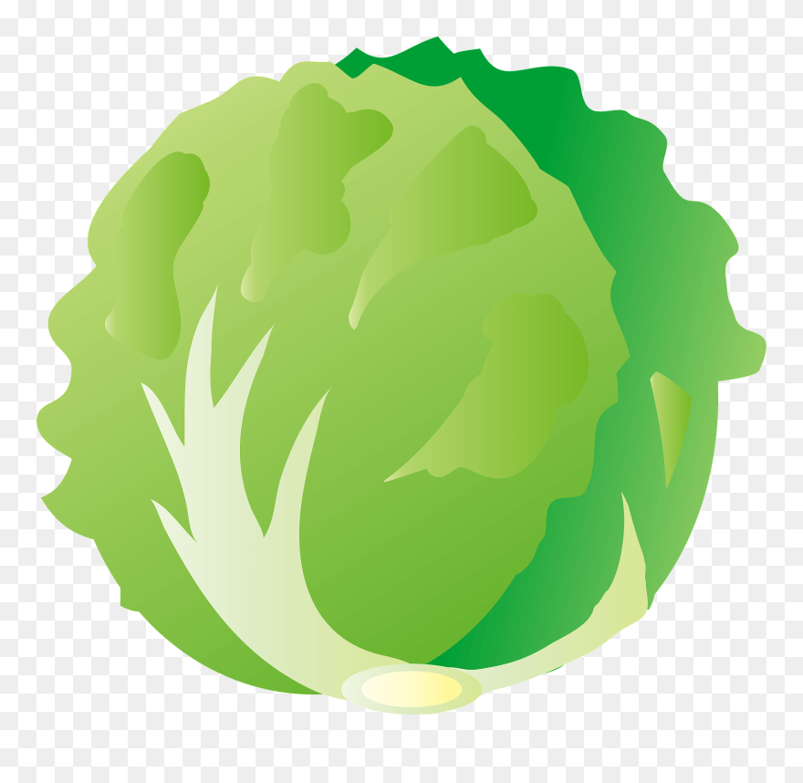 Lettuce Clipart