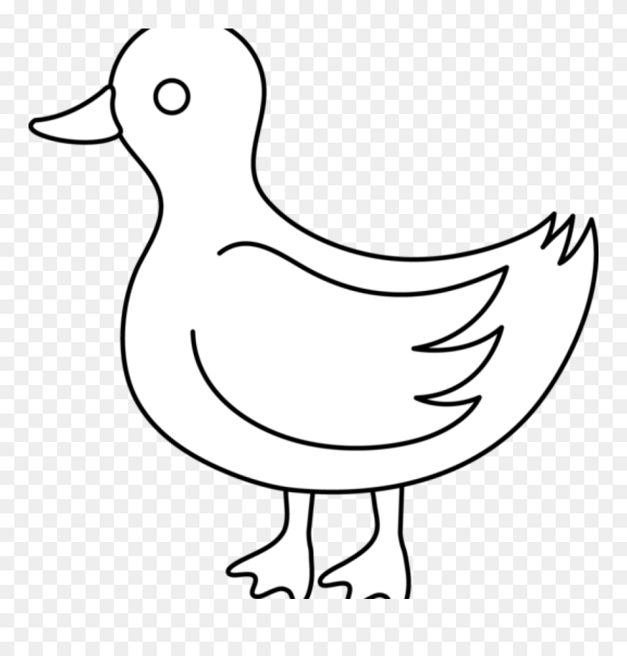 Duck Clipart Black And White - Outline Duck Wing Clipart - Png Download
