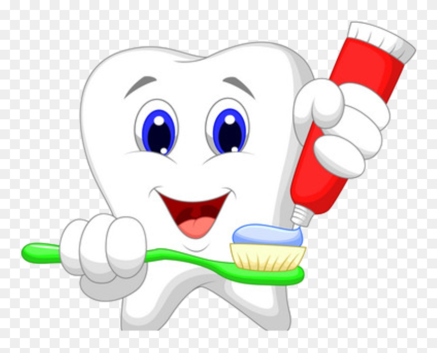 ##اسنان #سن #طبيب #طبيب اسنان #doctor #clean #te #teeth - Healthy Tooth Clipart