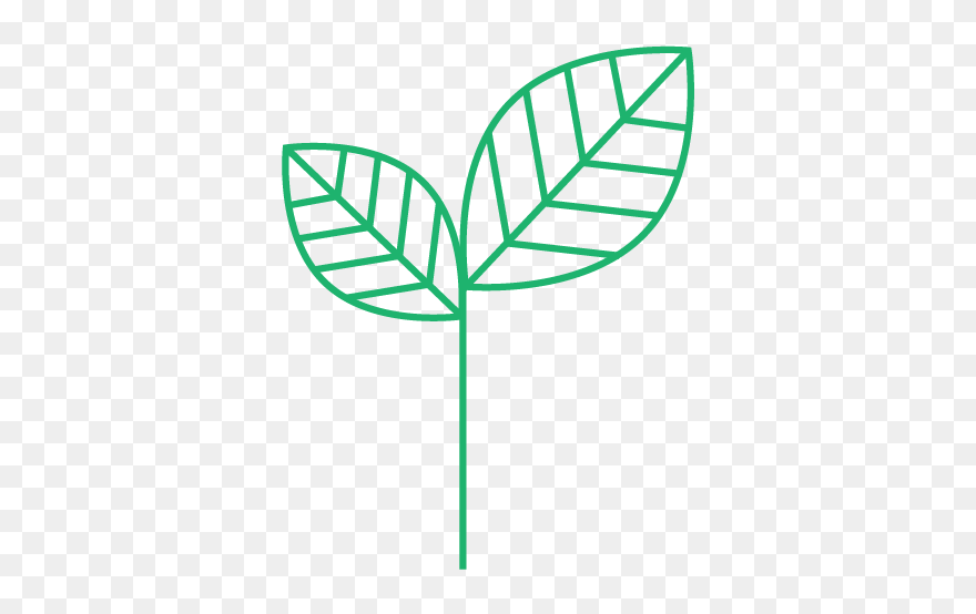 Leaf Black And White Clipart - Png Download