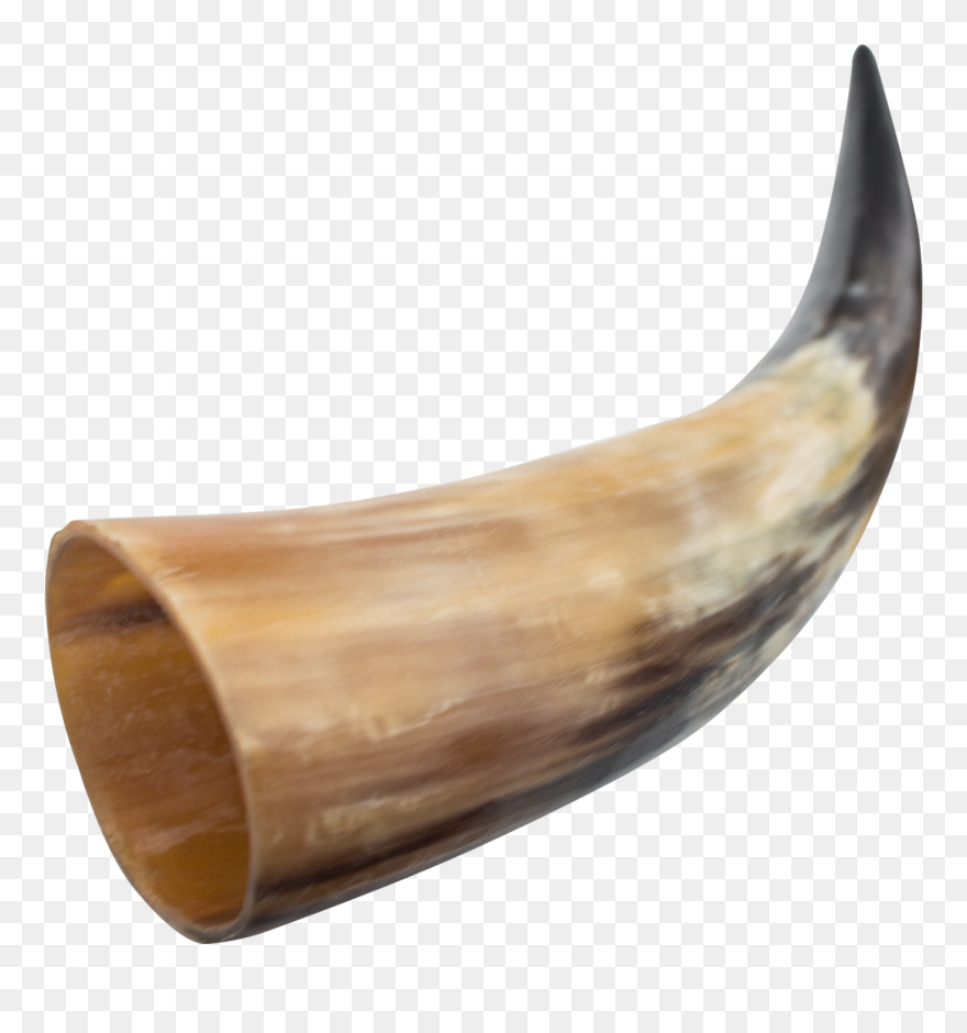 Viking Horn Transparent & Png Clipart Free Download - Viking Horn Png