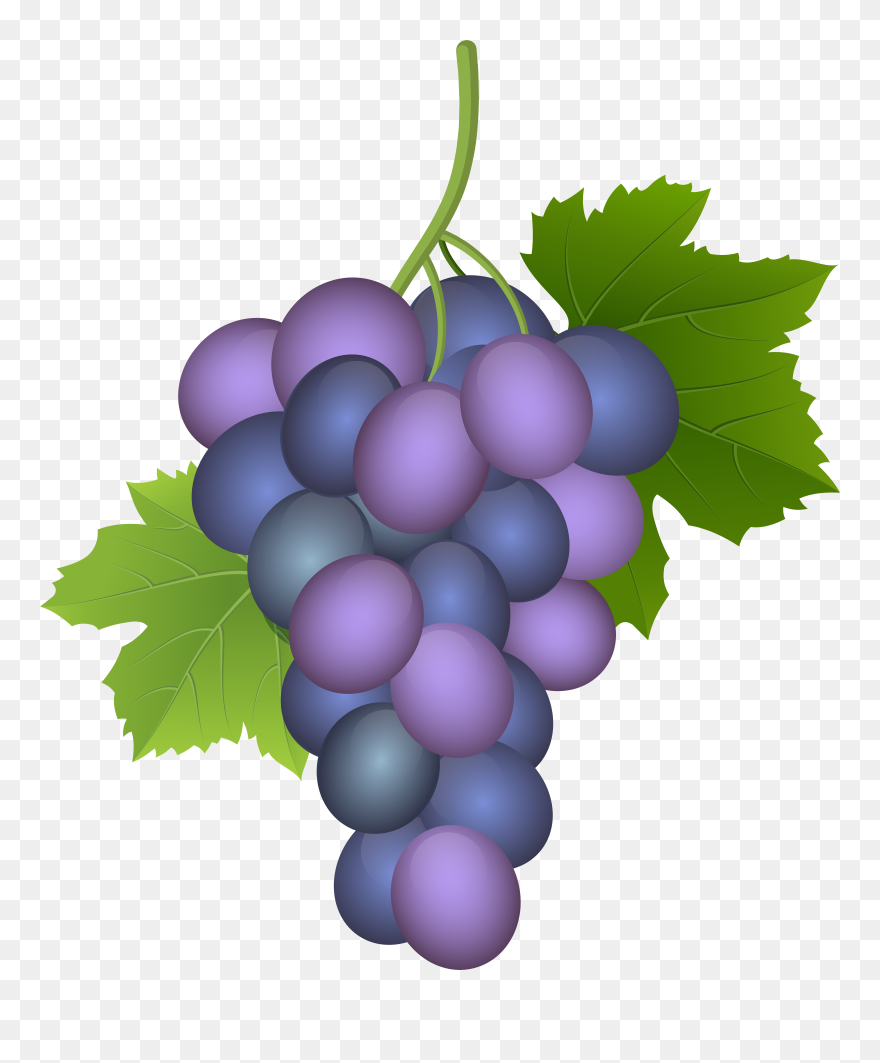Purple Grape Png Clip Art Image Transparent Png