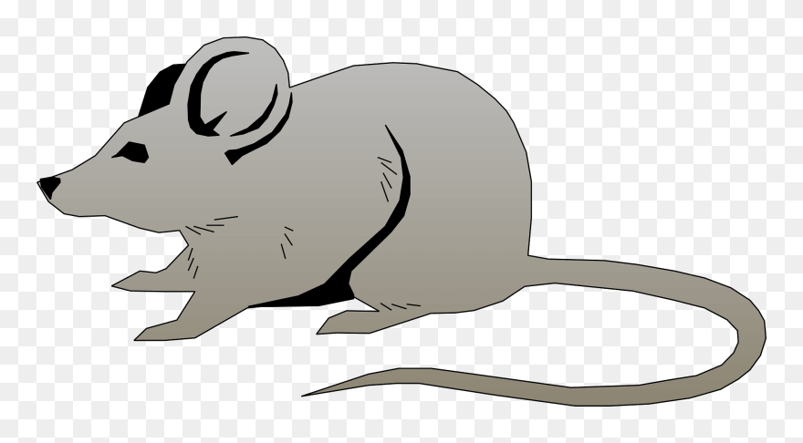 Rat Clipart - Png Download