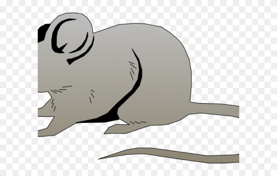 Cartoon Rat Pictures - Mouse Clipart - Png Download
