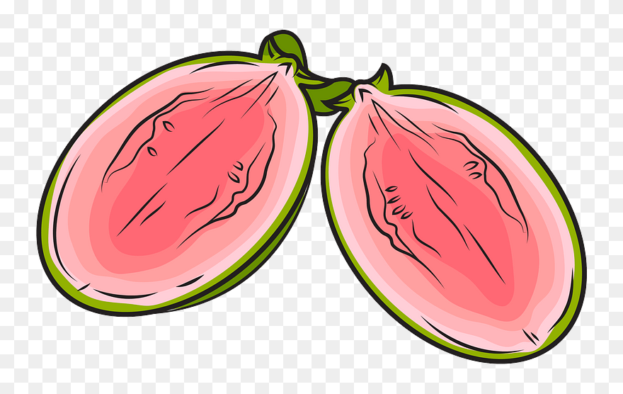 Guava Cut In Half Clipart - Half Clipart - Png Download