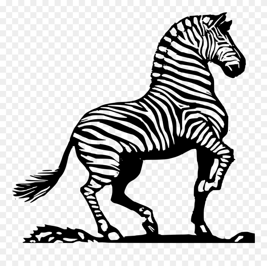 Wood Cut Zebra Svg Clip Arts - Clipart Zebra Images Black And White - Png Download