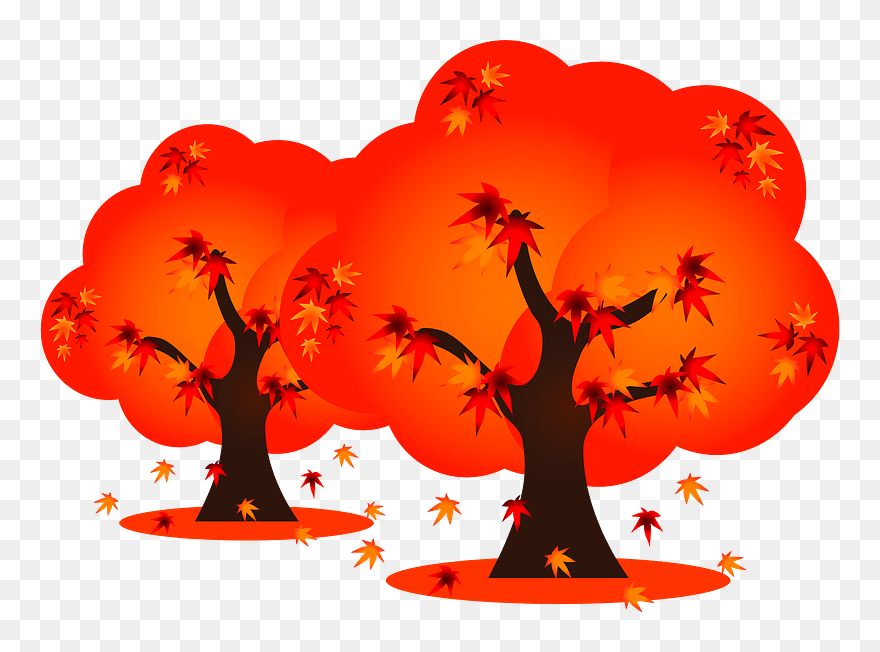Autumn Leaves Maple Trees Clipart - 紅葉 の 木 イラスト - Png Download