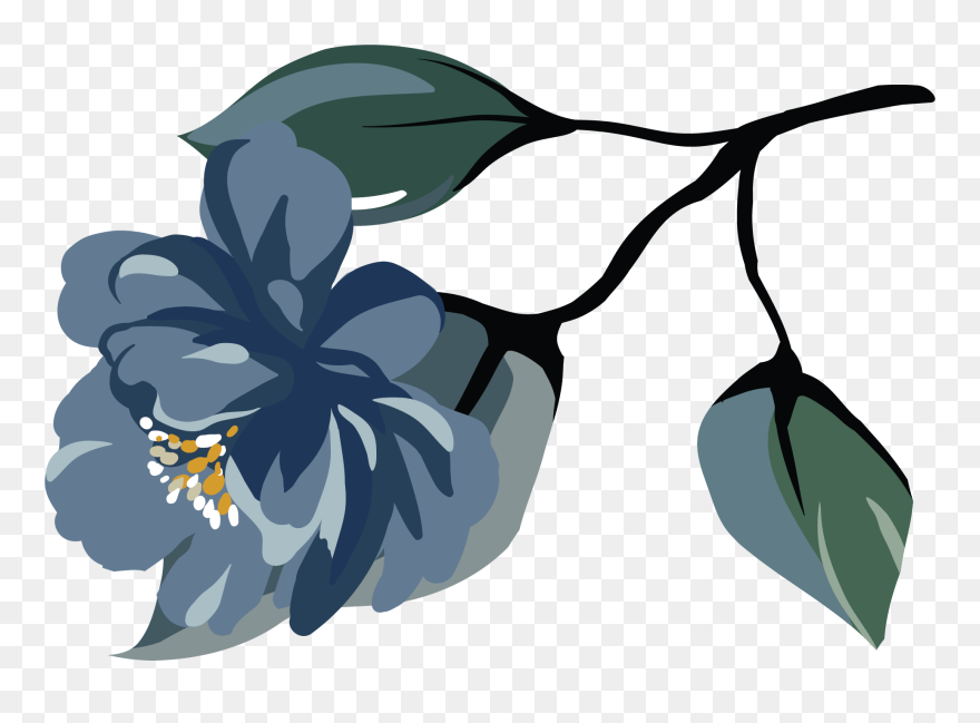 Illustration Clipart