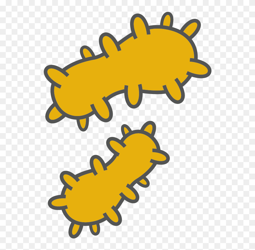 Bacteria Clipart