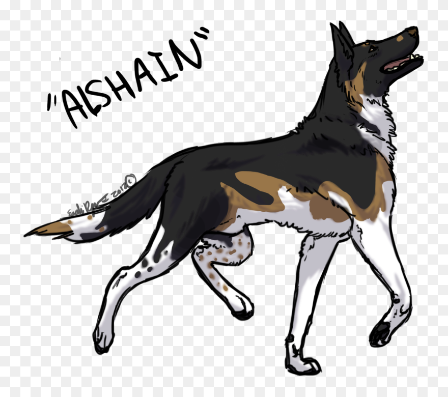Collection Of Free Dogs Drawing German Shepherd Download - German Shepherd Drawings Of Dogs Clipart