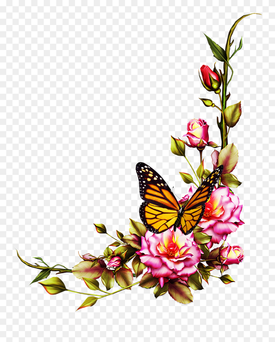 Frame Flowers And Borders Clipart