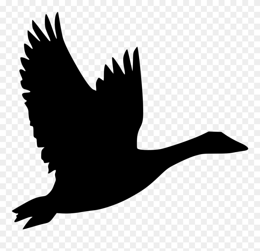 Bird Goose Flight Duck Clip Art - Goose Icon - Png Download