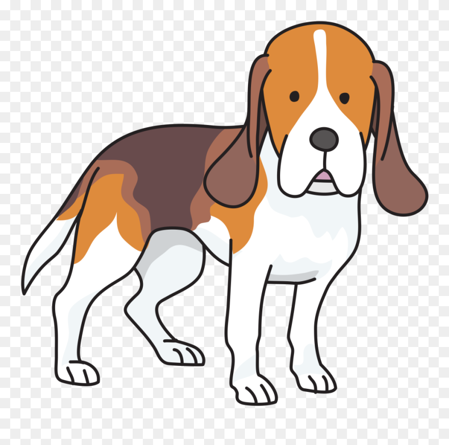 Beagle Puppy Basset Hound Foxhound Clip Art - Beagle Clipart Png Transparent Png