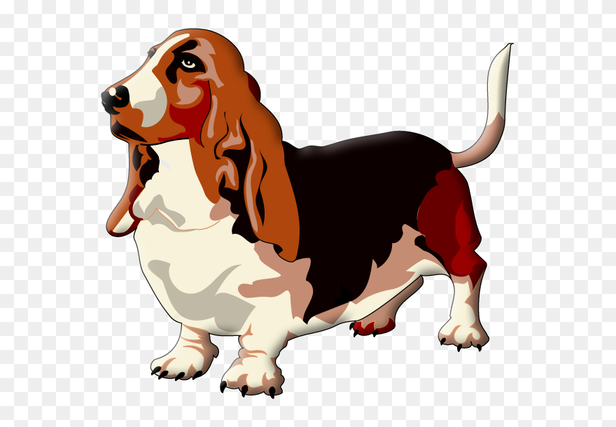 Transparent Dog Beagle Puppy Paw Clipart For Activities - Basset Hound - Png Download