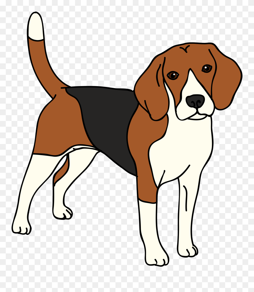 Beagle Vector Dog - Beagle Clipart Png Transparent Png